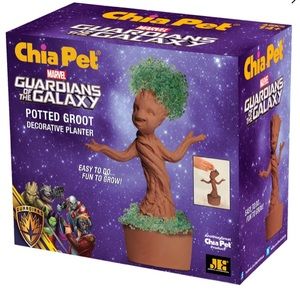 Groot chia pet